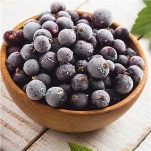 Ribes nero congelato selvatico