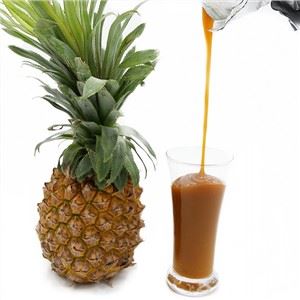 Concentrato di succo di ananas di alta qualità
